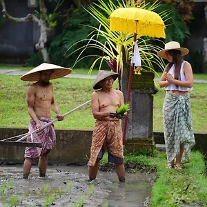 https://umae-villa-ubud-bali.ubudhotelsnow.com